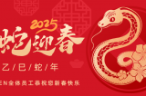 辭舊迎新，蛇舞華章丨深圳容金科技全體員工祝您新春快樂(lè)！